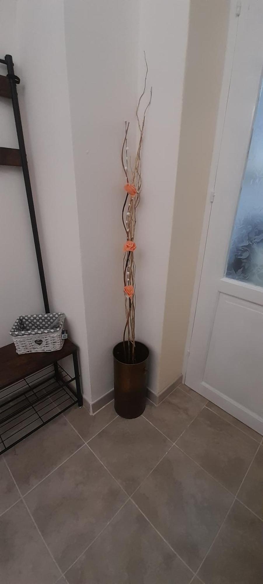 I Cappuccini B&B Сорсо Екстер'єр фото